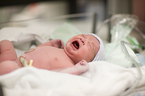 Baby screaming.