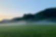 IMG_9901.jpeg