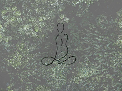 logo fond blanc_edited.jpg