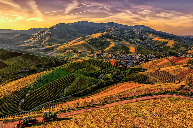 Alsace montagne paysage 1.jpg