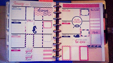 Week of Jan. 8 Happy Planner Layout