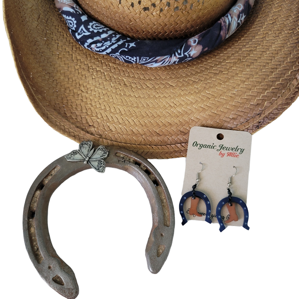 Thumbnail: My horse shoe & my boot earrings for GAIT Therapy Ridding Program