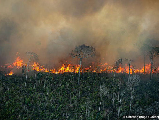 Queimadas na Amazônia e no Brasil: um desastre ambiental