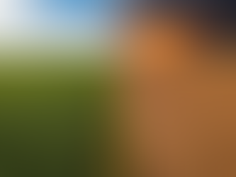 Crise Climática e Agronegócio: A Colisão entre a Produção de Alimentos e o Clima Extremo.