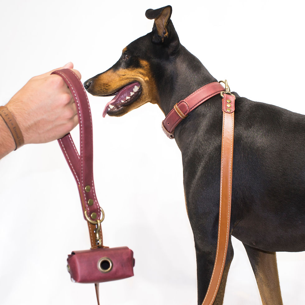 Miniatura: Collar Classic