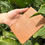 Thumbnail: Eugenia Document Holder