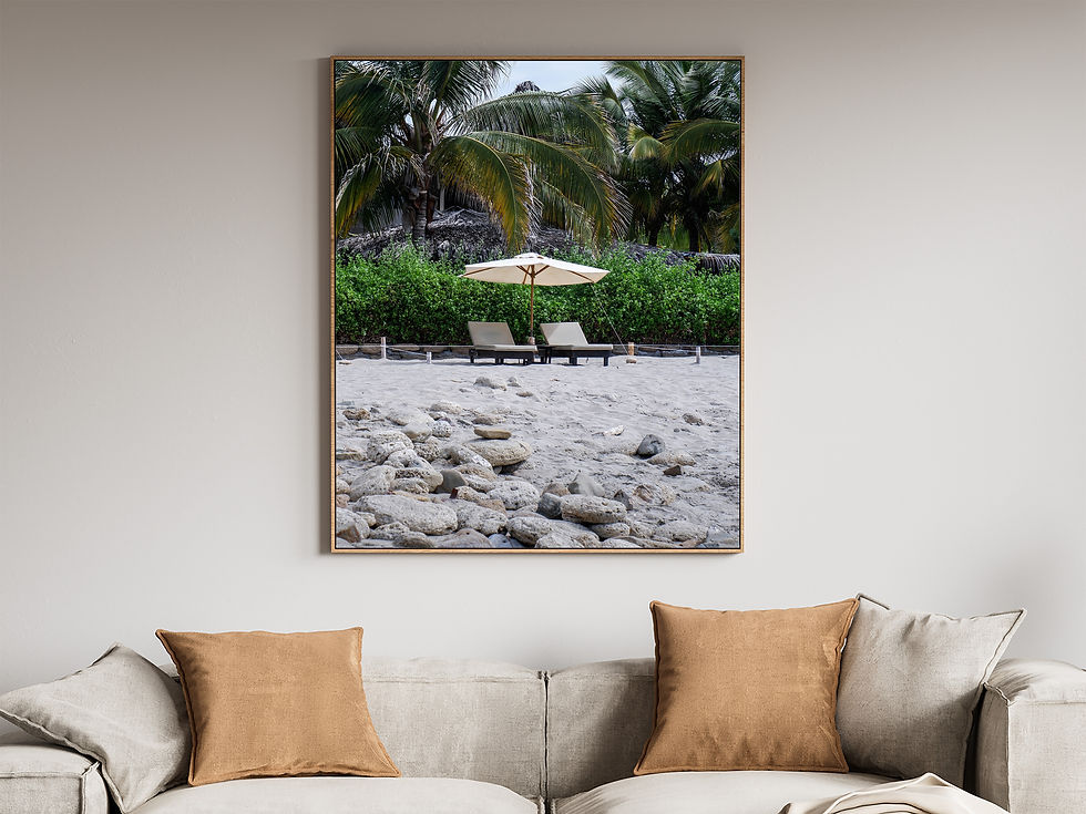 Thumbnail: Naturaleza, forma y arquitectura - Fotografía decorativas con marco