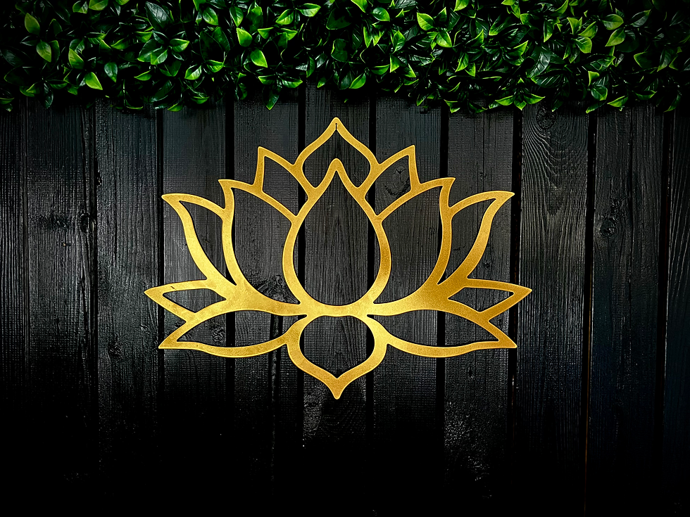 The Yoga Life Coach Elaine Lennon.heic