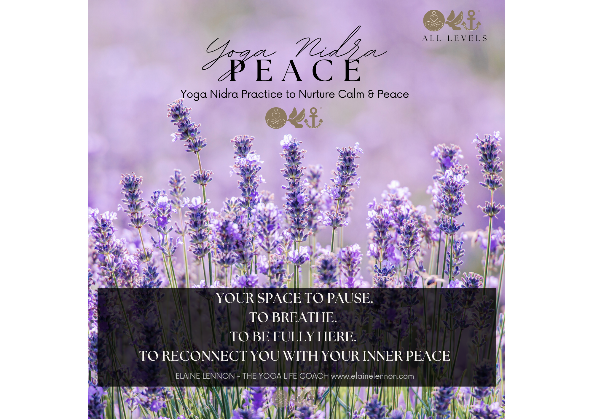 Yoga Nidra — Peace: A Guided Nervous System Reset (35 mins)