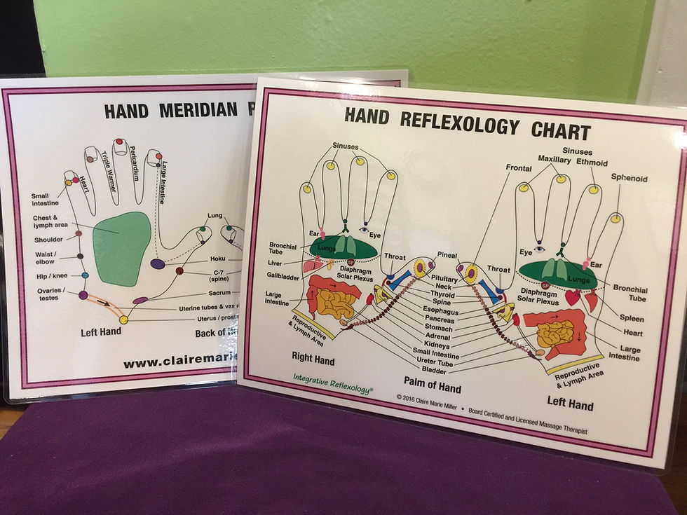 Thumbnail: 8.5"x 11" Integrative Reflexology® Charts