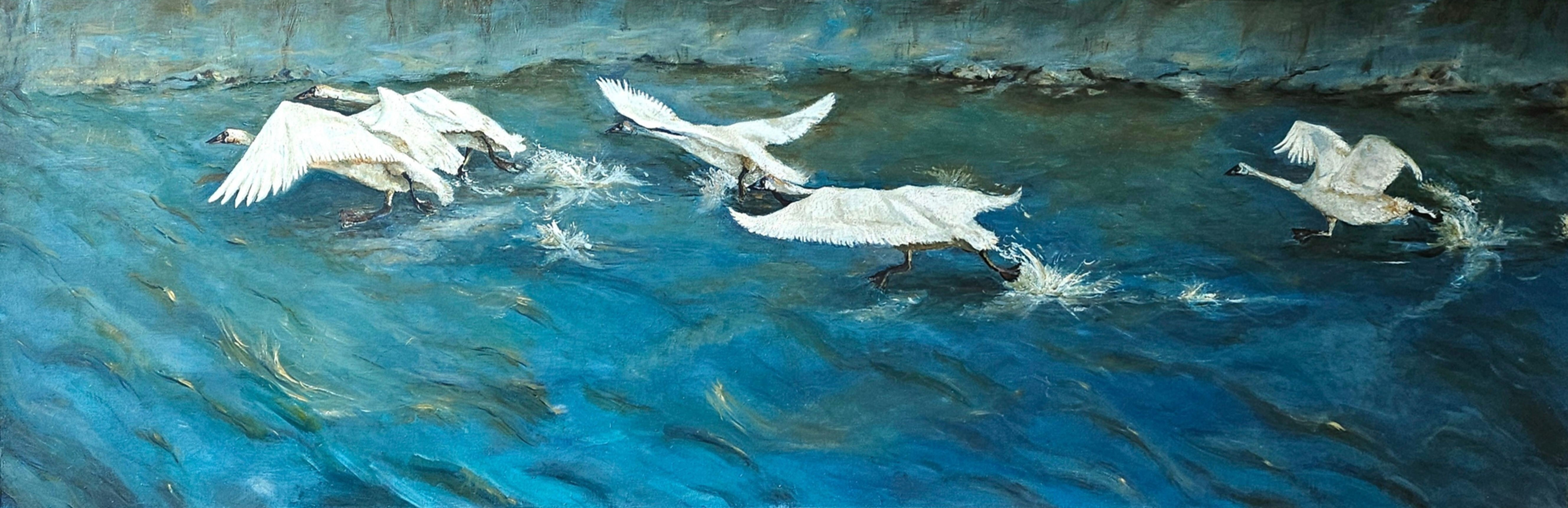 Five Trumpet swans flying over blue water, L'envol, CHRISTINEGAGNON'S ART