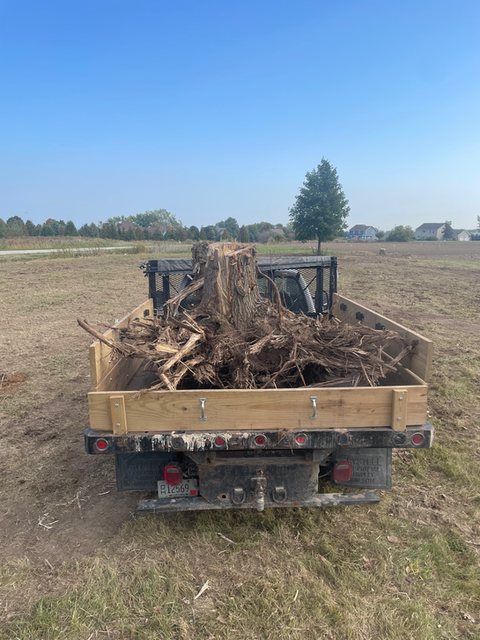 Stump Removal
