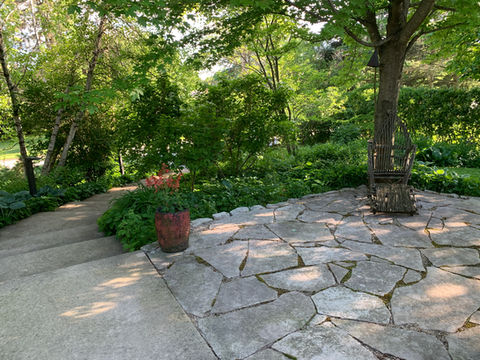 Patio Cleanup