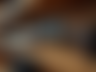 BallisticsLLC: Your Local Source for Collectible Firearms