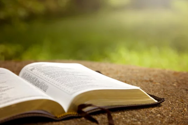 Bible.png