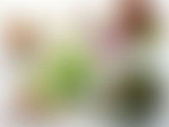 Newsletter - November/December 2025