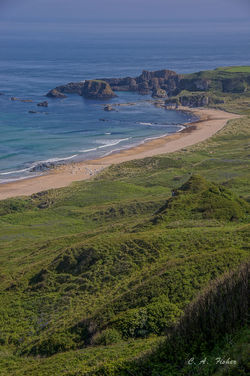 Beach and Rocks on White Park Bay