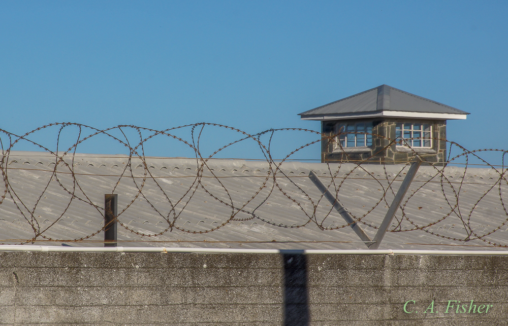 Barbed Wire and Guard Tower