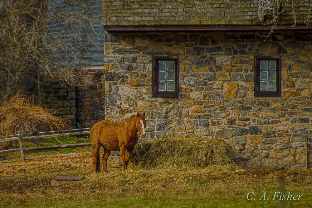 Horse and Stone Building