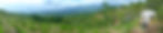 A man on a grassy, rugged mountain side. The man is wearing a hat and boots and using a shovel to dig soil..