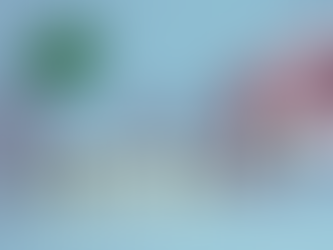 Common Myths About Offshore Bank Accounts in Seychelles