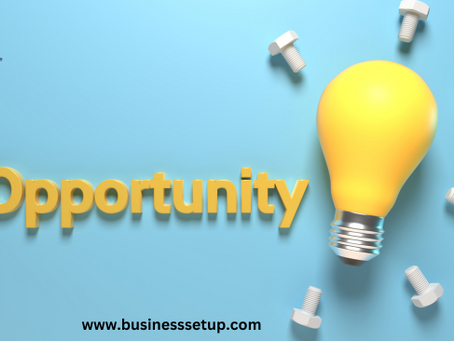 Business Opportunities for Offshore Company Registration in Belize