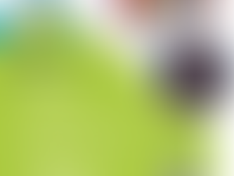 Pesquisadora do projeto participa de série internacional de palestras na Alemanha