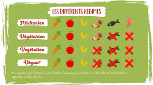Le végétarisme, une possibilité ?