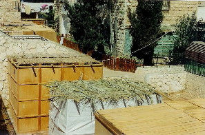 Women's Learning in the Sukkah