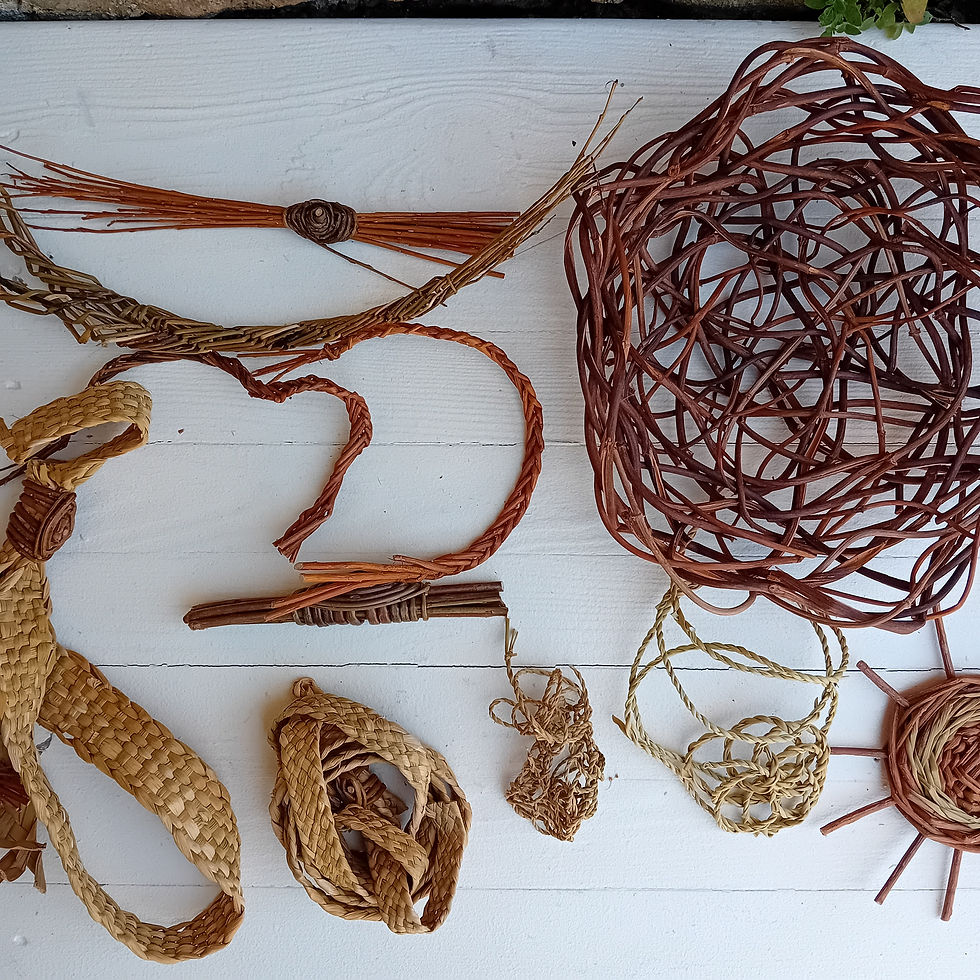 Stage-vannerie-sauvage-Tressages-Pas-Sages-2026-B