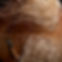 Atelier-tressages-pas-sages-mai2022.jpg