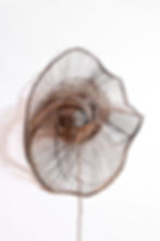 Nébuleuse-applique-murale-lumineuse-Tressages-Pas-Sages_02