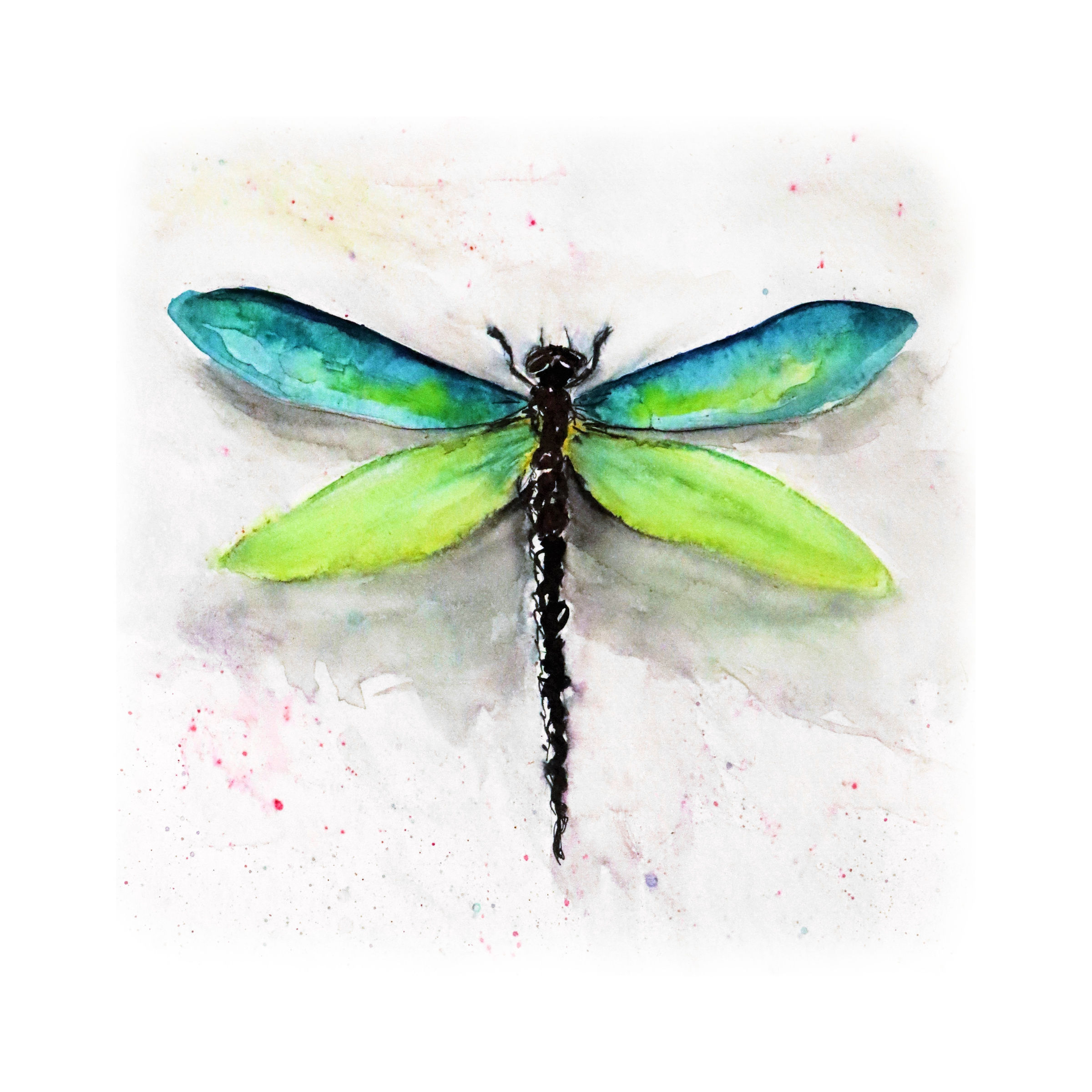 8x18 Dragonfly