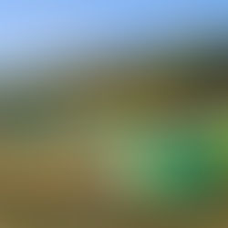 Duke of Edinburgh Award Scheme going from strength to strength at The Westgate School 