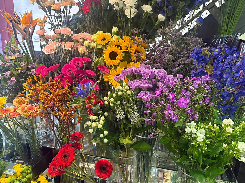 bright, colourful flowers