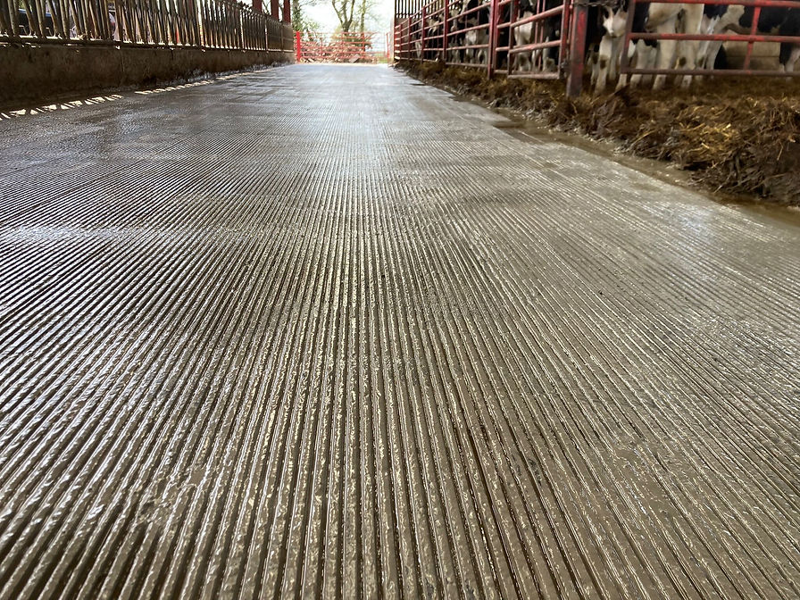 mini grooving at a farm