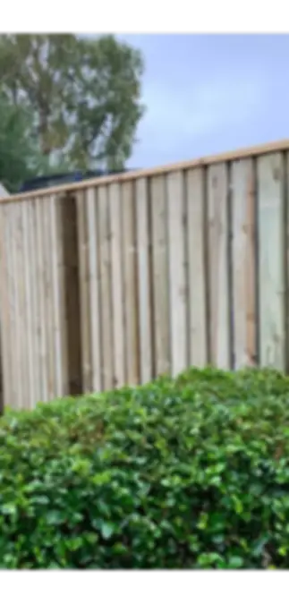 Hedge with a fence behind