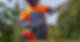 A worker in high-visibility Oleo-Mac clothing using a long-reach battery hedge trimmer on a tall green hedge