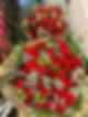Dense bouquet of red roses with white gypsophila gift wrapped in brown paper