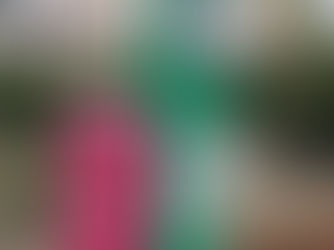 Réseau Cœur et Secourisme Citoyen