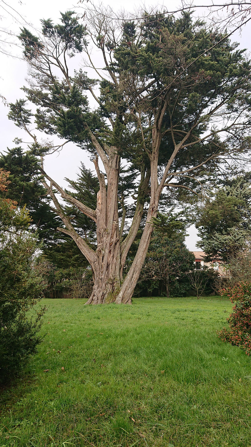 L'Union, Ville Verte et Biodiversité Urbaine