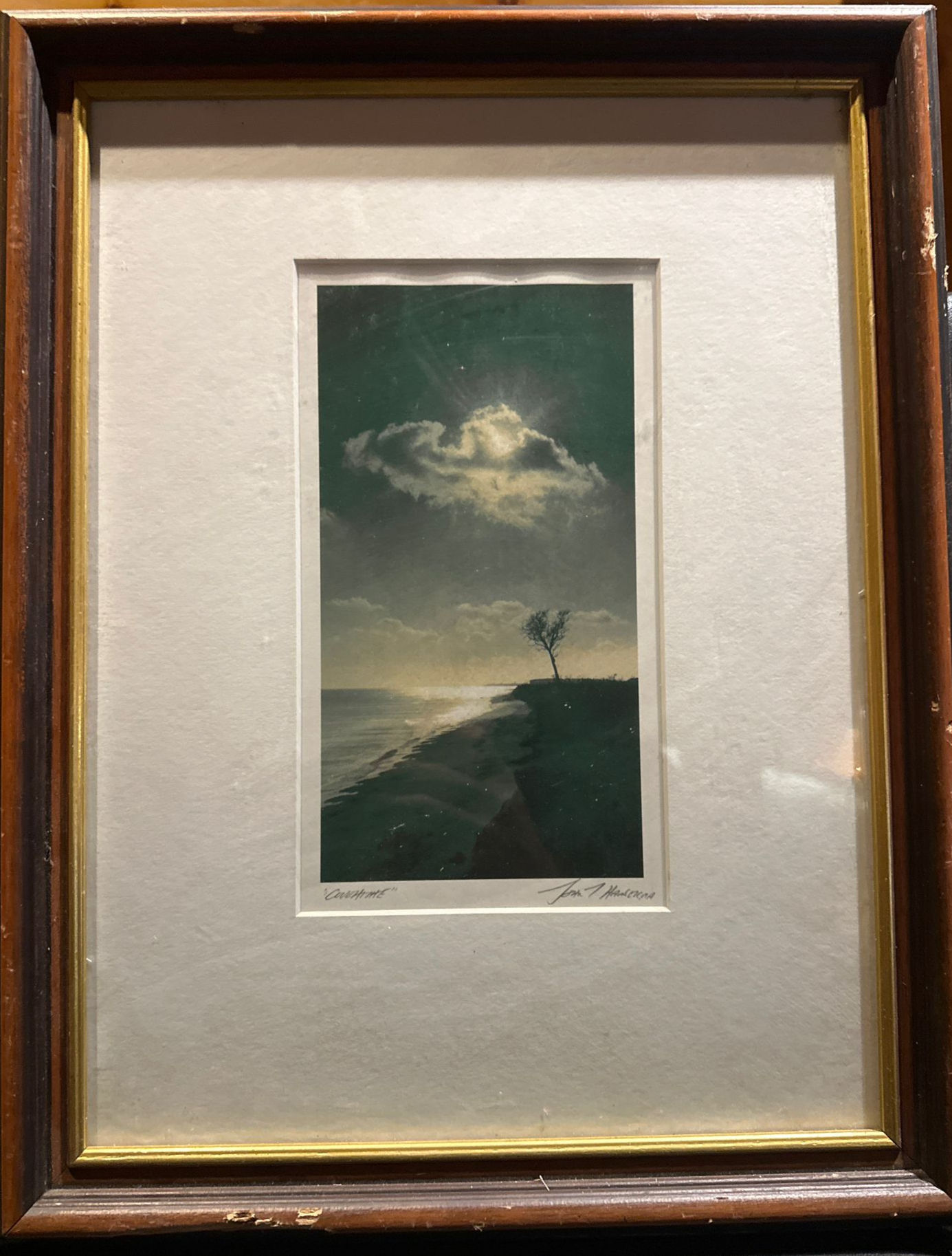 ‘Overlook’ Framed Print (Signed Tom M.)