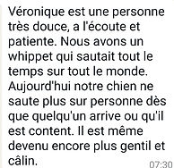 Témoignage d'Ophélie pour son chien Sami