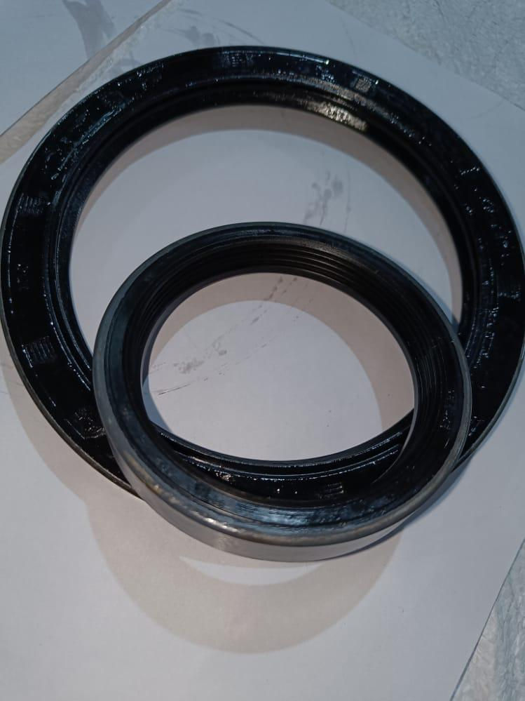 Ego Ego Oil Seals India