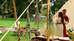 2017-09-10 Kruszwica `Lato w Parku`  (29)