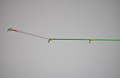 fishy new 5.JPG