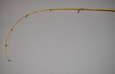 fishy new.JPG
