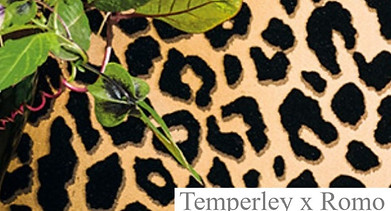 Image 2 Advert_edited.jpg