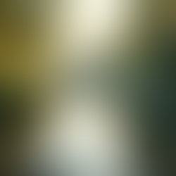 Seeking Clarity in Decision-Making? Vedic Insights for Navigating Life's Choices