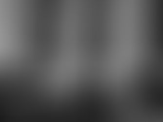 60 years of impact: Step Forward celebrates Community Action Month